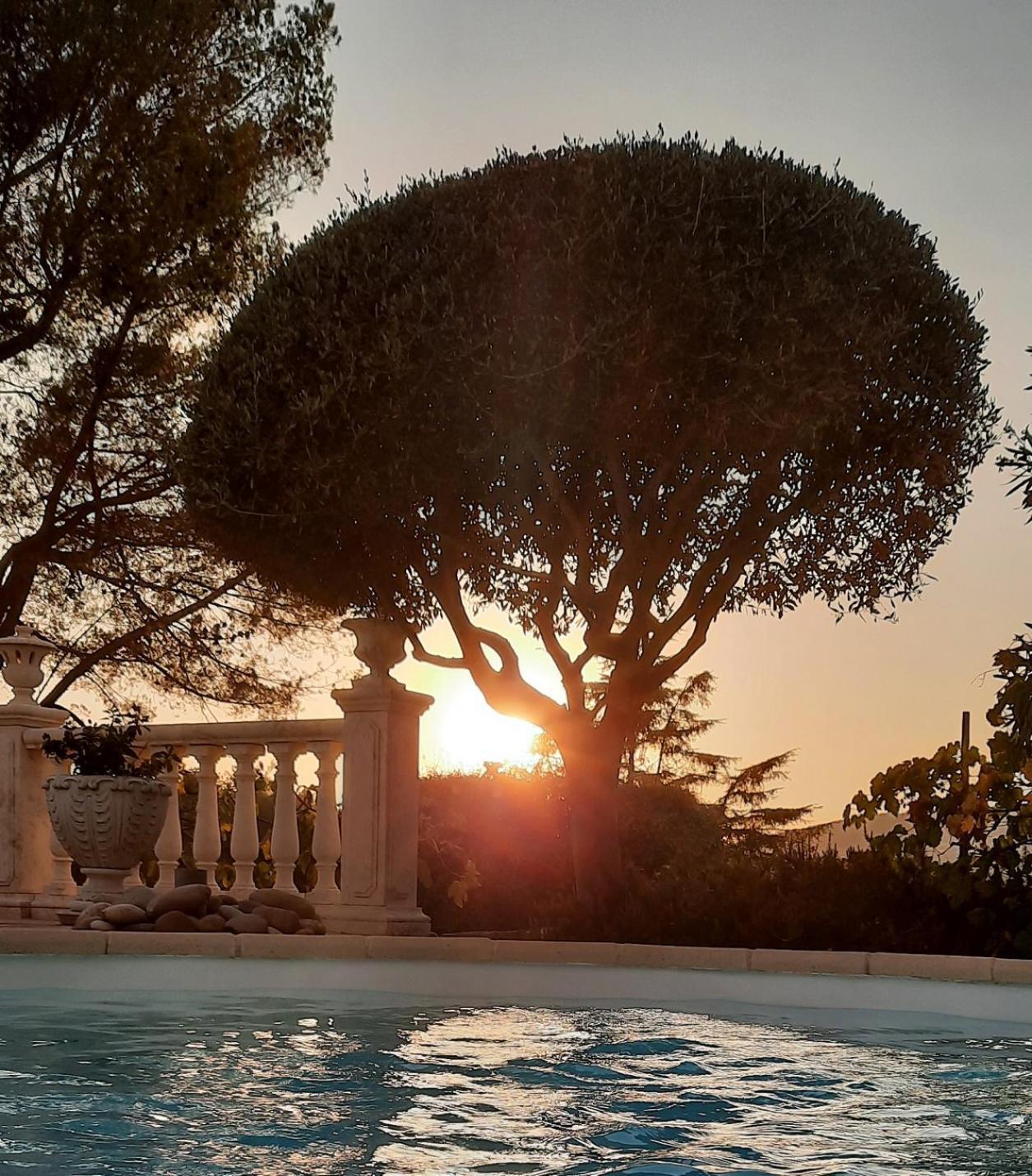 Gite Les Pins Climatise Piscine Chauffee Jardin Peymeinade Esterno foto